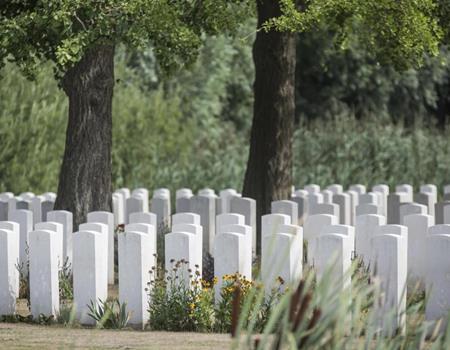 11. November 2025 - Aktuelles